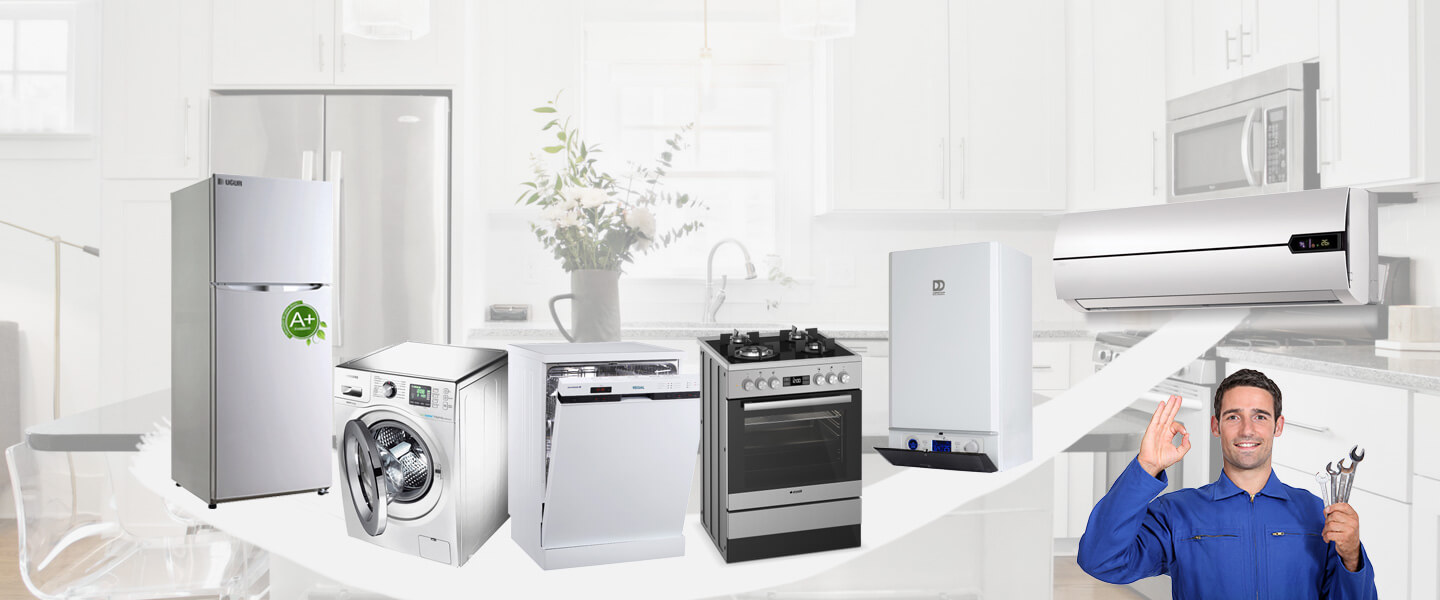 Sinanpaşa Gaggenau Servisi